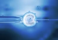 供卵試管嬰兒選擇好醫(yī)院是關(guān)鍵，泰國(guó)好的生殖中心有這些