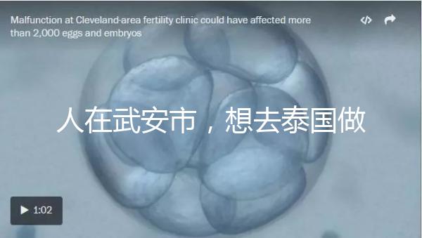 人在武安市，想去泰國做試管嬰兒生男孩要花多少錢？