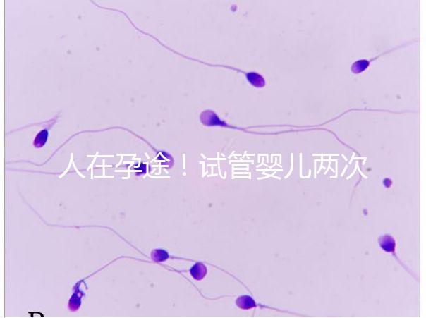 人在孕途！試管嬰兒兩次胎停育,了解這幾招能降低流產風險