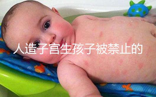 人造子宮生孩子被禁止的原因有三，會不會被允許未成定論