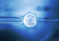 五紅湯喝多久才有效果？讓喝過(guò)的人告訴你！