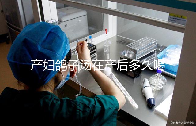 產婦鴿子湯在產后多久喝合適？網友看法各不一樣