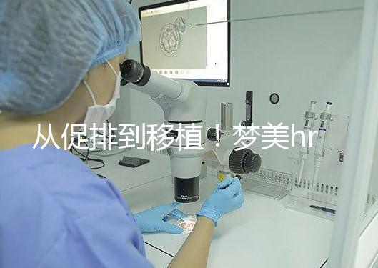 從促排到移植！夢美hrc試管嬰兒流程共7步