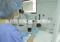 從促排到移植！夢美hrc試管嬰兒流程共7步