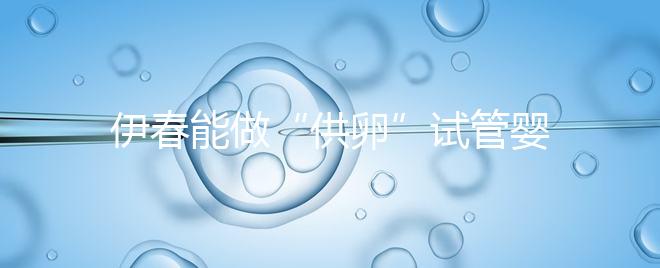 伊春能做“供卵”試管嬰兒?jiǎn)?？你們想知道的答案在這里