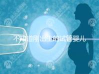 不知道剛出生的試管嬰兒媽媽吃什么不要錯(cuò)過這些食譜