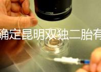 不確定昆明雙獨(dú)二胎有沒(méi)有補(bǔ)貼速來(lái)，這些政策一定得知道