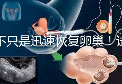 不只是迅速恢復卵巢！試管取卵后吃蘿卜的3大好處匯總