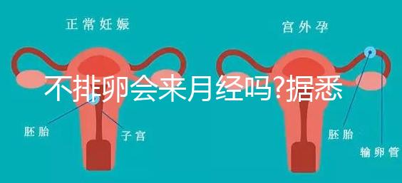 不排卵會來月經嗎?據悉并不會推遲