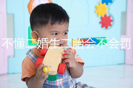 不懂二婚生二胎會(huì)不會(huì)罰款速覽，專家：千萬(wàn)別超這個(gè)數(shù)量