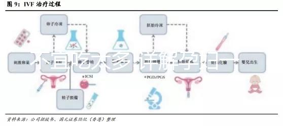 不宜吃太多!詳解孕婦一天能吃幾個油桃