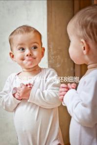 不造只有一個凍胚8細胞二級成功率高不高進，能否著床來瞅