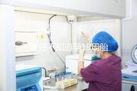 不要還不知道孕19周胎教音樂是怎么放的先聽聽有用嗎？