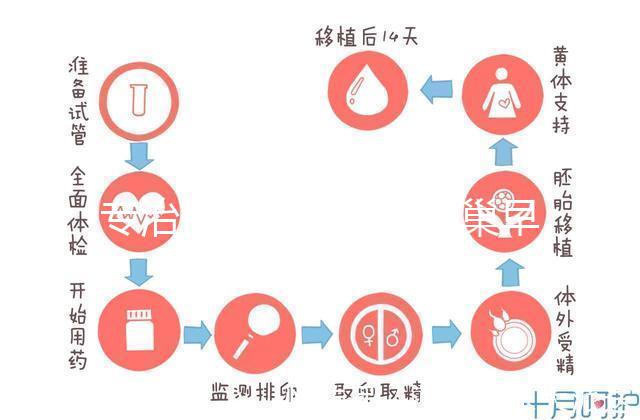 專治停經、絕經、卵巢早衰？利維愛的作用與適應癥分析