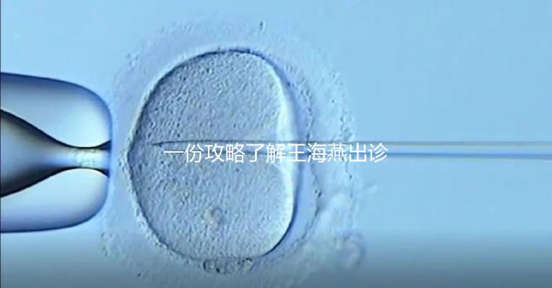 一份攻略了解王海燕出診表，讓你在北醫三院掛號更簡單