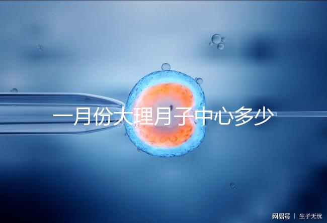 一月份大理月子中心多少錢早知道，2024年排名前十的機構