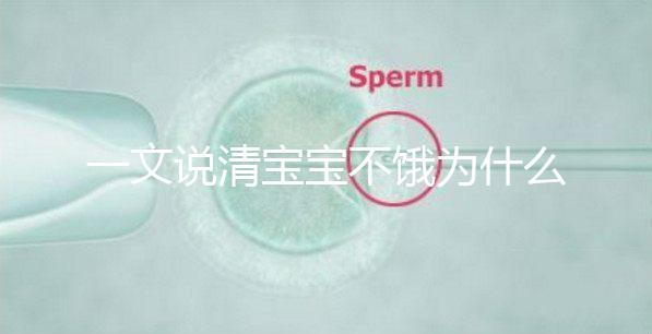 一文說清寶寶不餓為什么瘋狂找奶，找準原因才好解決