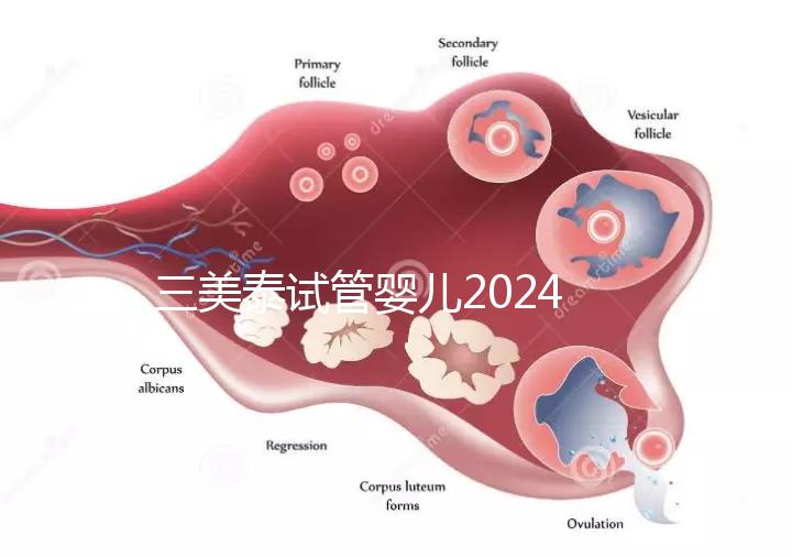 三美泰試管嬰兒2024年的成功率還能更高嗎？