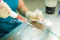 三代條件限制嚴！盤點國內(nèi)為什么限制三代試管嬰兒？