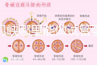 三門(mén)峽哪里能做試管嬰兒？從經(jīng)歷談成功率和費(fèi)用