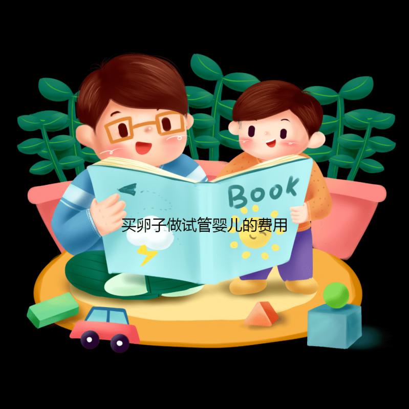 買卵子做試管嬰兒的費(fèi)用