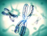 據(jù)說孩子的奶癮太像吸煙，背后的原因讓人深思