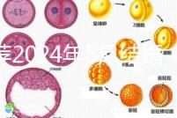 推薦2024年5月結婚的良辰吉日，最吉利的要數…