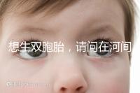 想生雙胞胎,請(qǐng)問在河間市有醫(yī)院能做試管嬰兒嗎?