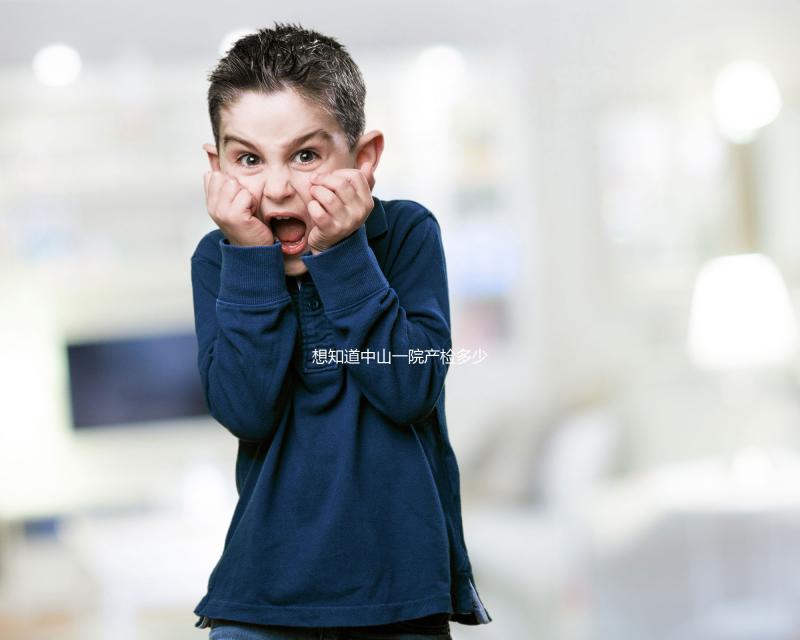 想知道中山一院產(chǎn)檢多少錢，怎么報銷，怎么辦？