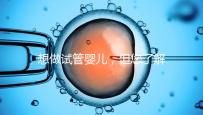 想做試管嬰兒，但您了解卵泡嗎？
