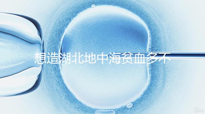 想造湖北地中海貧血多不多戳，武漢發(fā)病率高不高看這篇