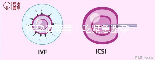 懷孕請等等，吃緊急避孕藥多久能有性生活看專家怎么說