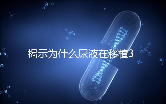 揭示為什么尿液在移植30天后需要稀釋才能測量，正常情況下不一目了然