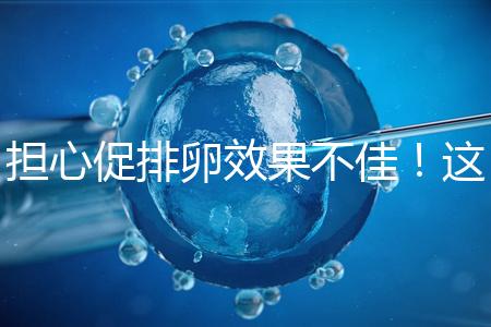 擔(dān)心促排卵效果不佳！這幾個(gè)“養(yǎng)卵”方法請收下
