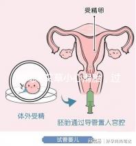 房間熏艾草小心滑胎，過度使用這些危害后悔沒早知道