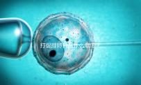 打促排卵針是什么意思？一種能增加懷孕幾率促排方法