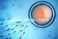 曼熙和十月結(jié)晶一次性內(nèi)衣哪個(gè)好看就知道了，女生都來(lái)看