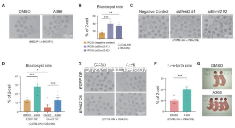 服用方法不正確易產(chǎn)生不良反應(yīng)？利維愛的副作用解析