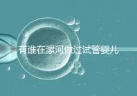 有誰在漯河做過試管嬰兒，具體費(fèi)用及成功率是多少？