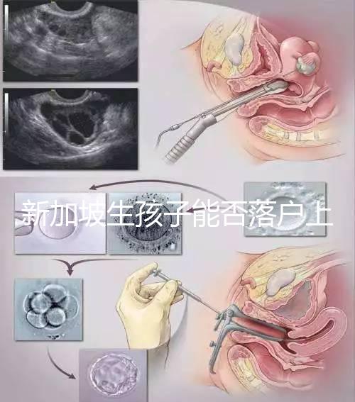 新加坡生孩子能否落戶(hù)上海分，@家長(zhǎng):高學(xué)歷可以申請(qǐng)