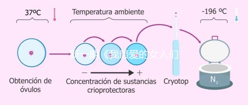 新一期《我最愛的女人們》，蔡少芬自曝第一胎曾小產(chǎn)