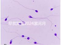 早就知道2024漯河月子中心的價格表了！媽咪悅只需要這個數字