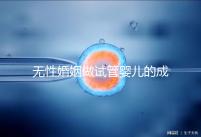 無性婚姻做試管嬰兒的成功率2024，一文說清有沒有用