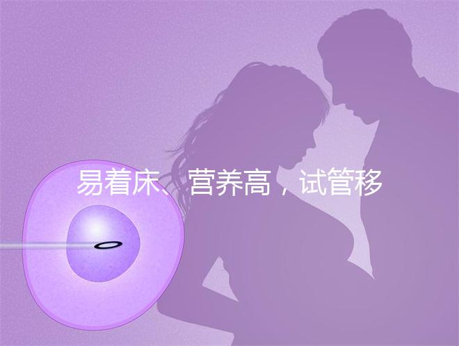 易著床、營養(yǎng)高,試管移植后吃獼猴桃的好處你不知道!