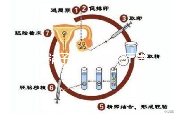 正常精子形態＞4％正常，流產與精子質量不好也有關