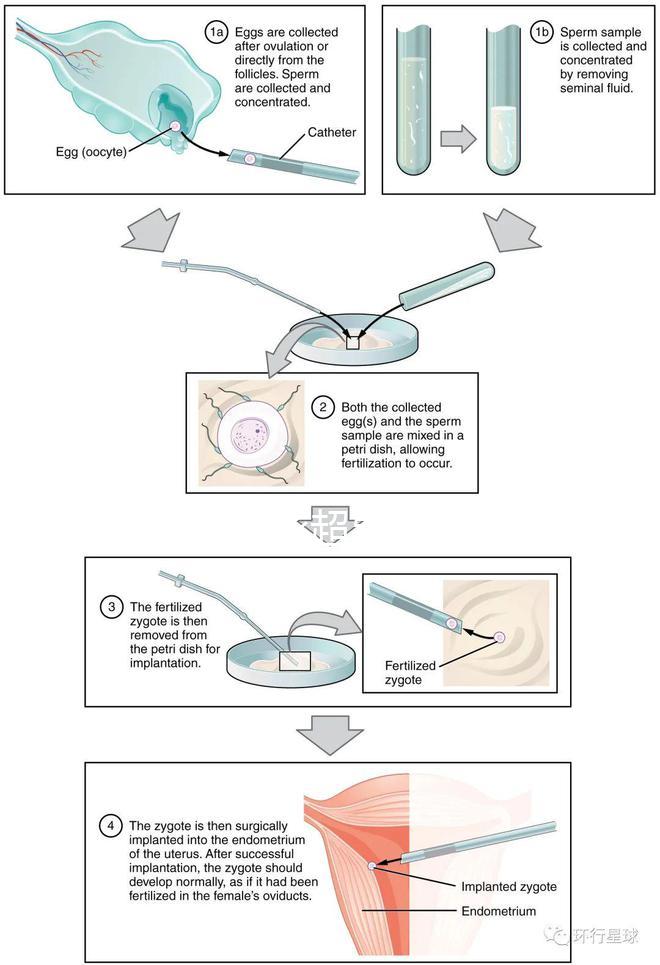 武漢四維彩超費用表整理，內(nèi)附市婦保院超全預(yù)約攻略