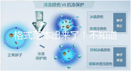 格式范本出來(lái)了！不知道出生證明遺失申請(qǐng)書(shū)怎么寫(xiě)看這兒