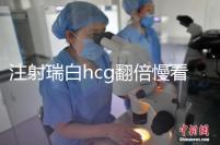 注射瑞白hcg翻倍慢看這，從原因著手告訴你解決辦法