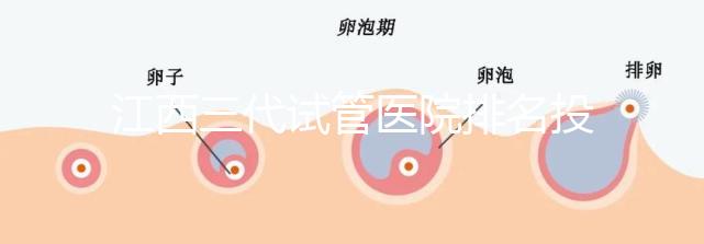 江西三代試管醫(yī)院排名投票截止！附前三位成功率和費用詳解