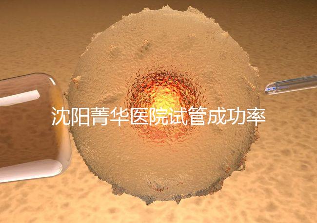 沈陽菁華醫(yī)院試管成功率高嗎？教你4招提升胚胎著床機會